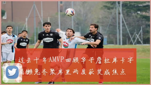 过去十年AMVP回顾华子詹杜库卡字眉獭兔齐聚库里两度获奖成焦点