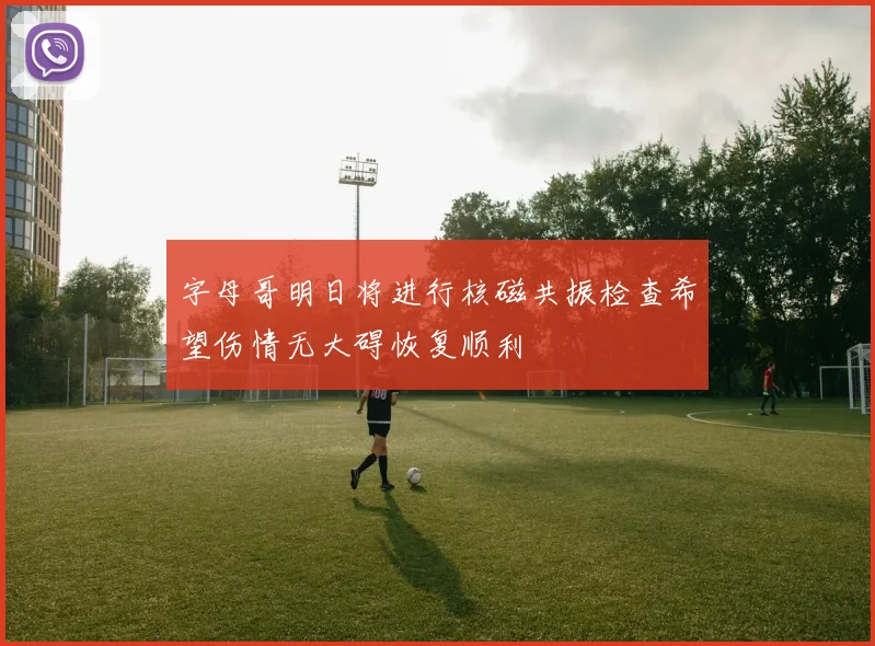 字母哥明日将进行核磁共振检查希望伤情无大碍恢复顺利